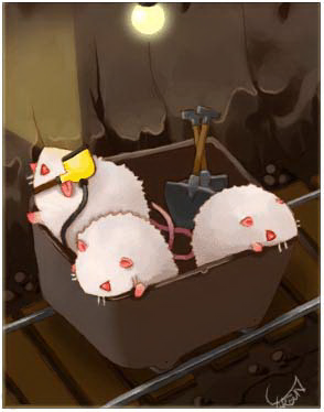 Tarou Card