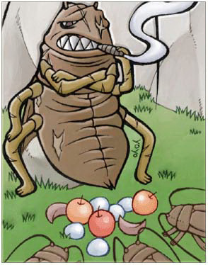Female Thief Bug Card