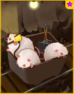 3 x Tarou ★Card