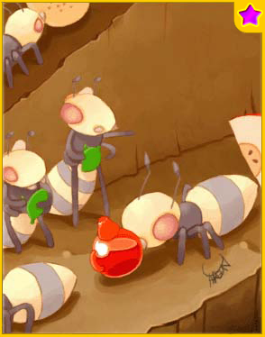 10 x Andre★Card