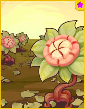 Wicked Sunflower ★ Card