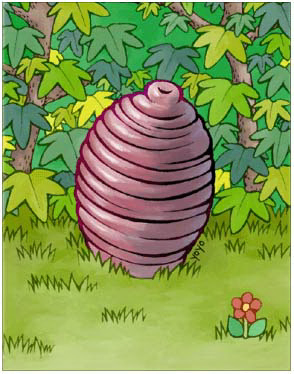 Pupa Card