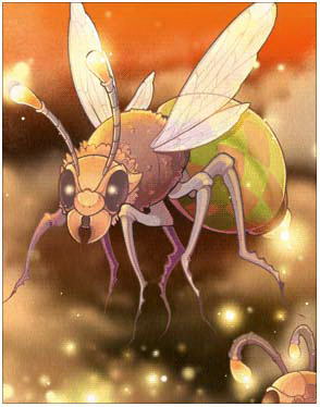 Luciola Vespa Card