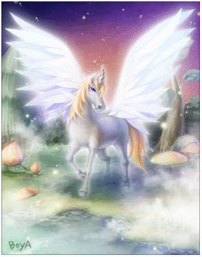 Cornus Card