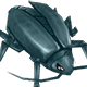 Thief Bug Male ★