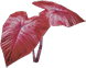Red Plant
