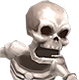 Archer Skeleton
