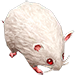 Tarou