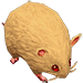 Wildness Rat