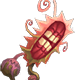 Flora