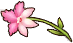 Ciri Ice Flower