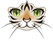 Adorable Battle Stripes