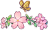 Attracted Butterfly