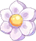 Fragrant Choice