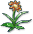 Fancy Flower