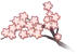 Cherry Blossom Shower