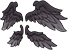 Four-winged Divine Feather - Order
