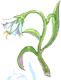 Fantasy Flower