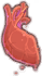 Immortal Heart