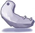Armor Shard